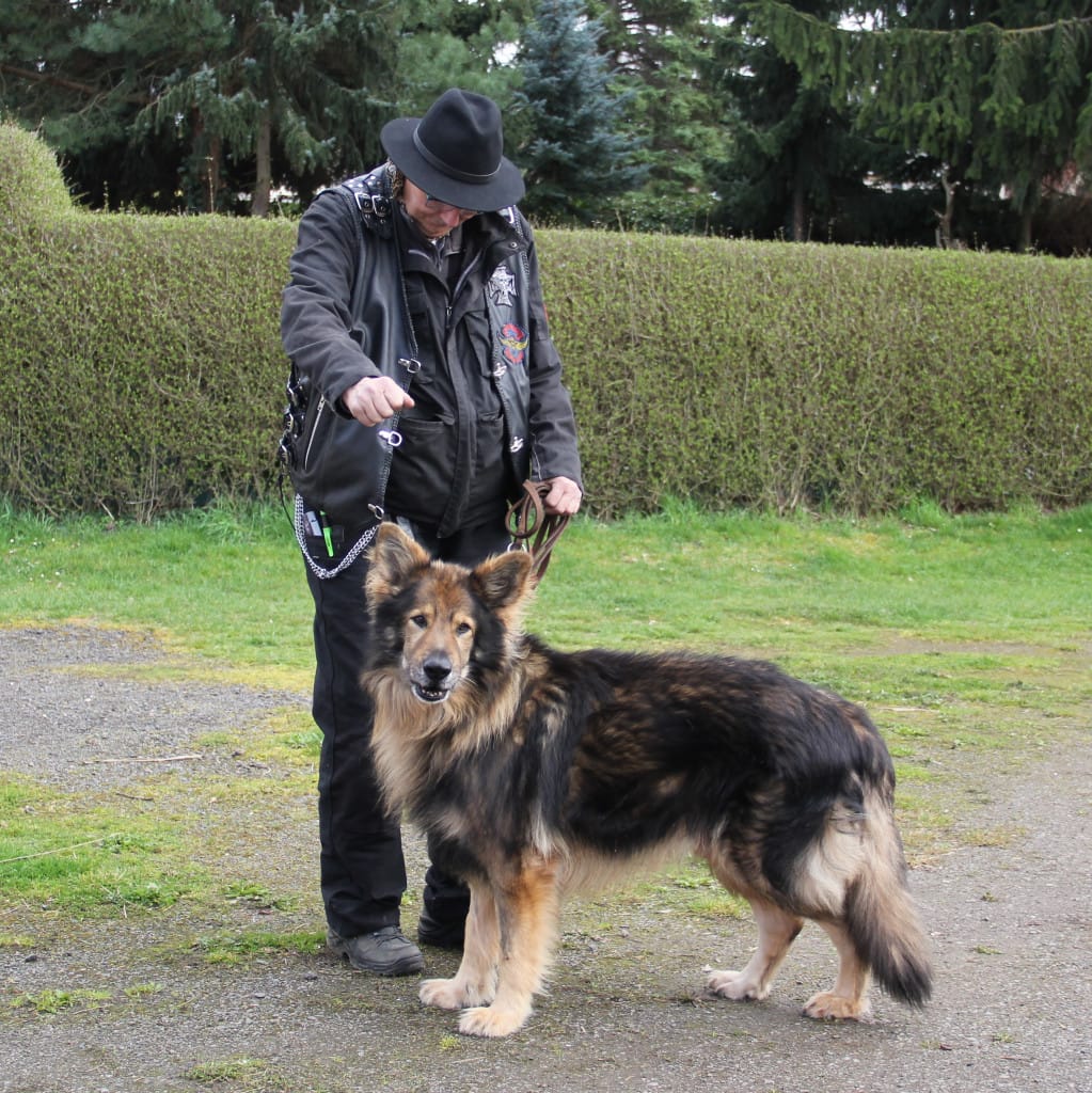 Abschied Suli Abschied Suli