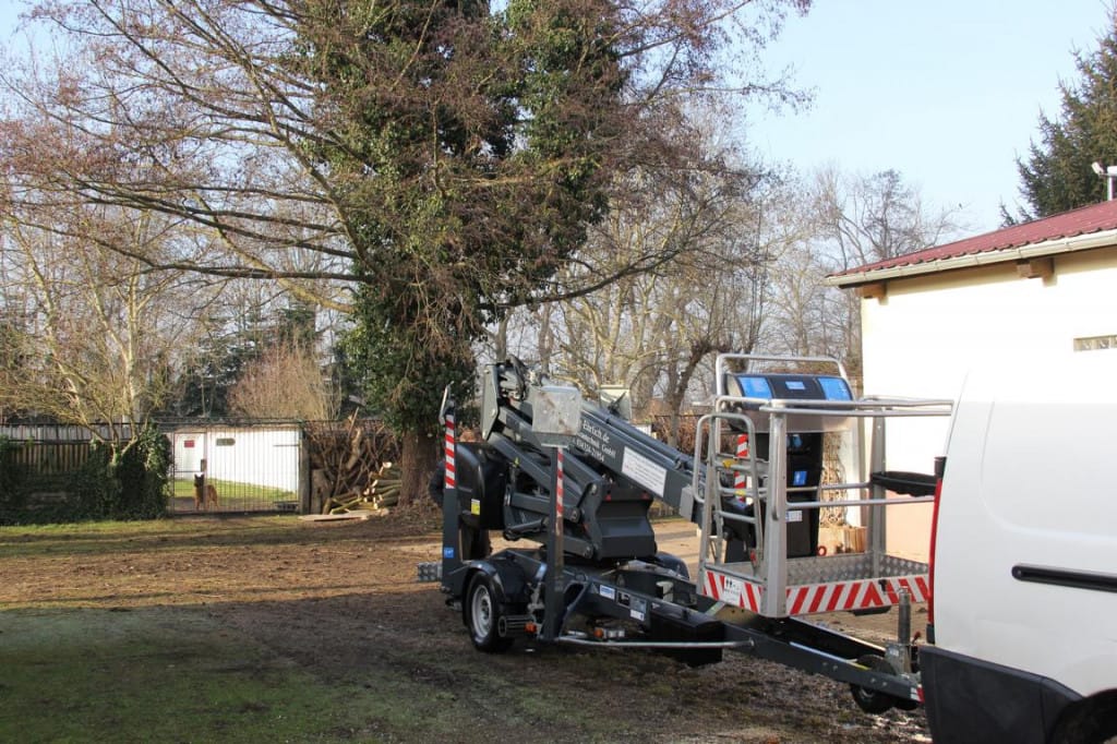 Baumpflegearbeiten Baumpflegearbeiten