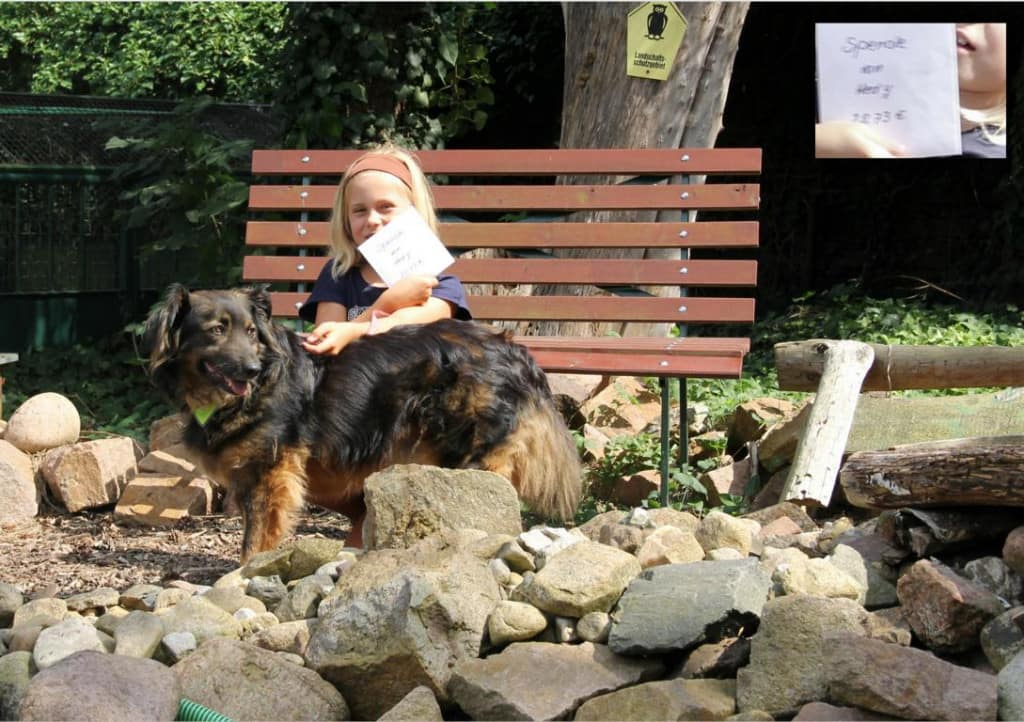 Hedy - der kleine Glücksengel Hedy - der kleine Glücksengel