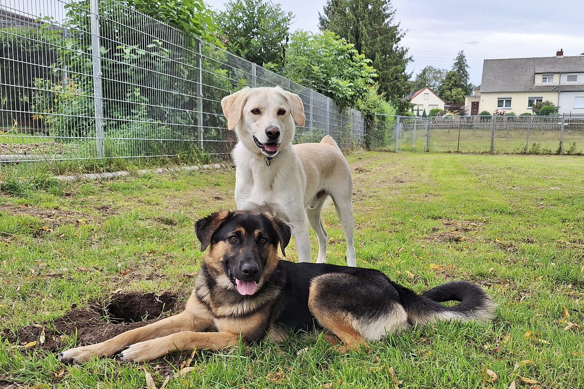 20250808_142722 20250808_142722