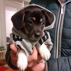 IMG-20210324-WA0001 IMG-20210324-WA0001