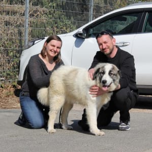 Teddy mit Familie Lindner Teddy mit Familie Lindner