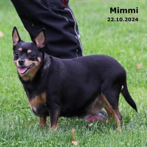 Mimmi heute Mimmi heute