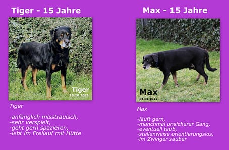 2022-02-02 2022-02-02