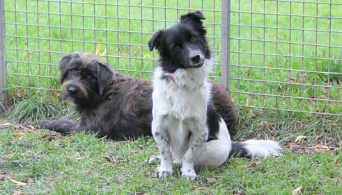 Jette & Mischa Jette & Mischa