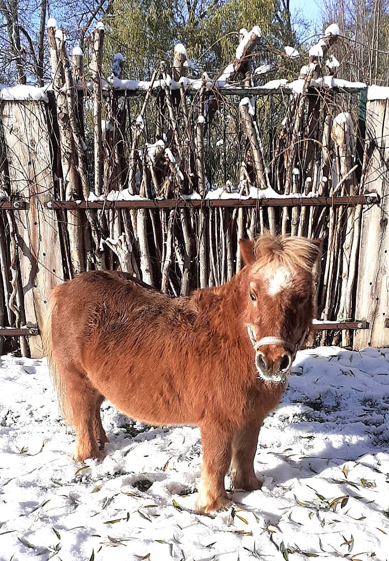 IMG-20231129-WA0000 IMG-20231129-WA0000